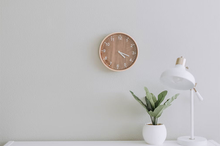 个人站长已死，建议还是去平台吧