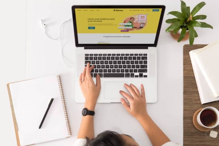 WordPress [WP_Term] 对象介绍